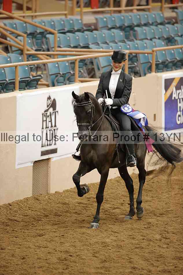 Proof 13yn_09073