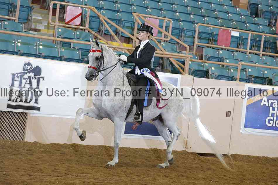 Proof 13yn_09074