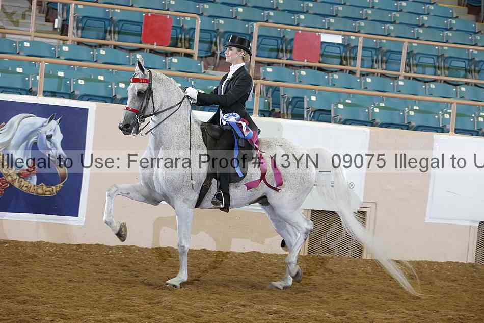 Proof 13yn_09075