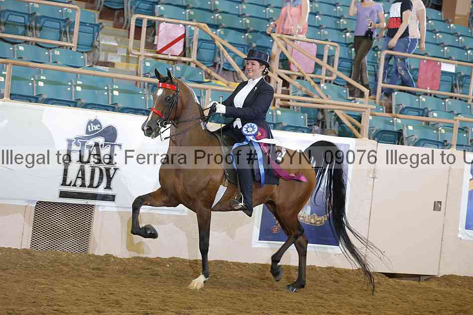 Proof 13yn_09076