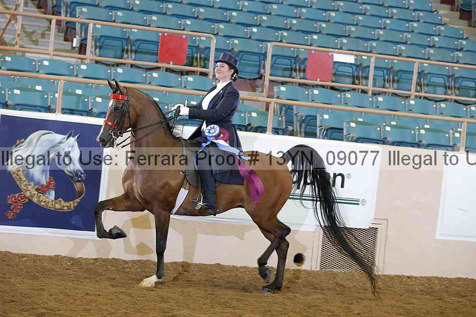 Proof 13yn_09077