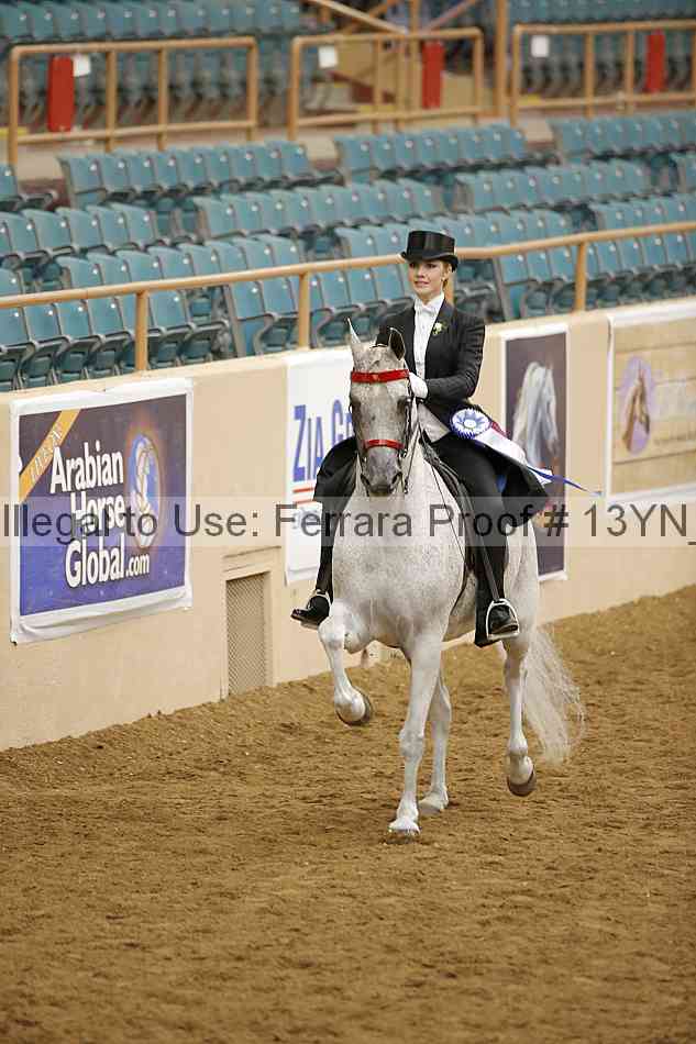 Proof 13yn_09078