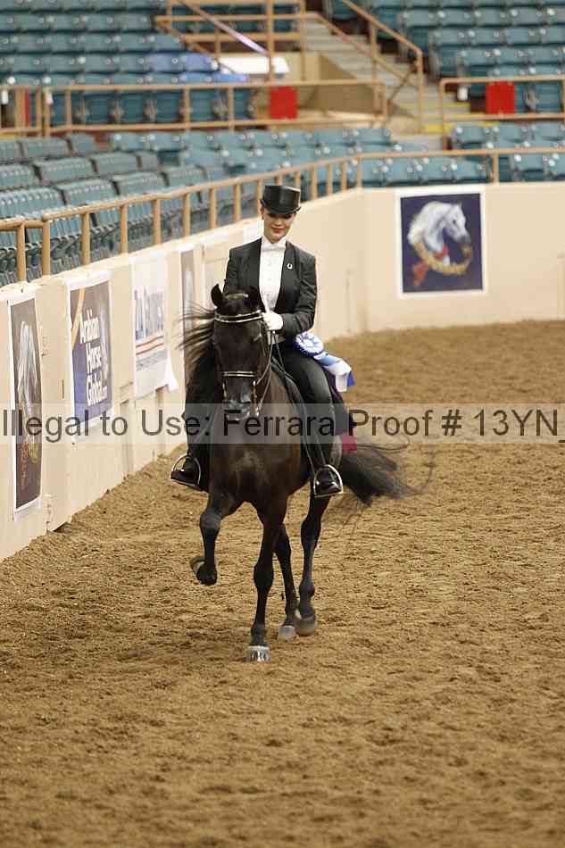 Proof 13yn_09079