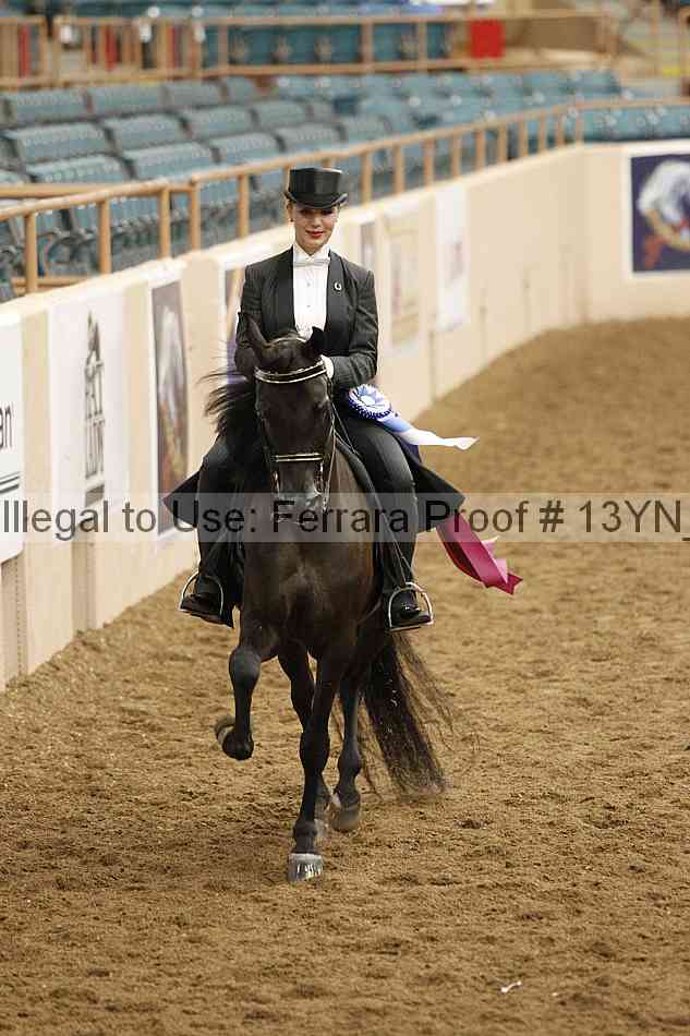 Proof 13yn_09080