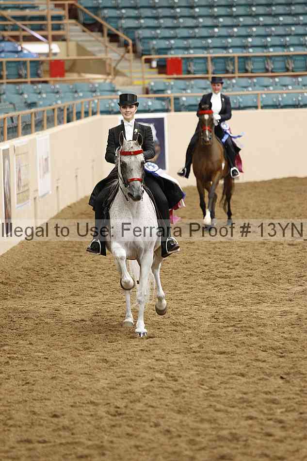 Proof 13yn_09081