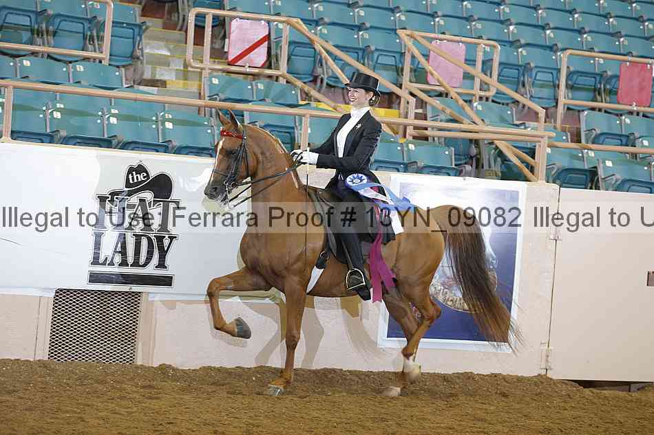 Proof 13yn_09082