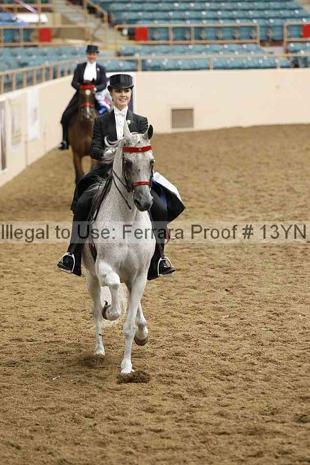 Proof 13yn_09083