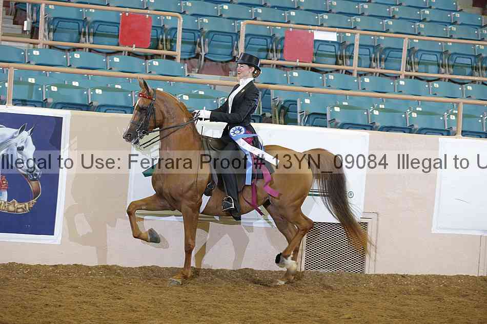 Proof 13yn_09084