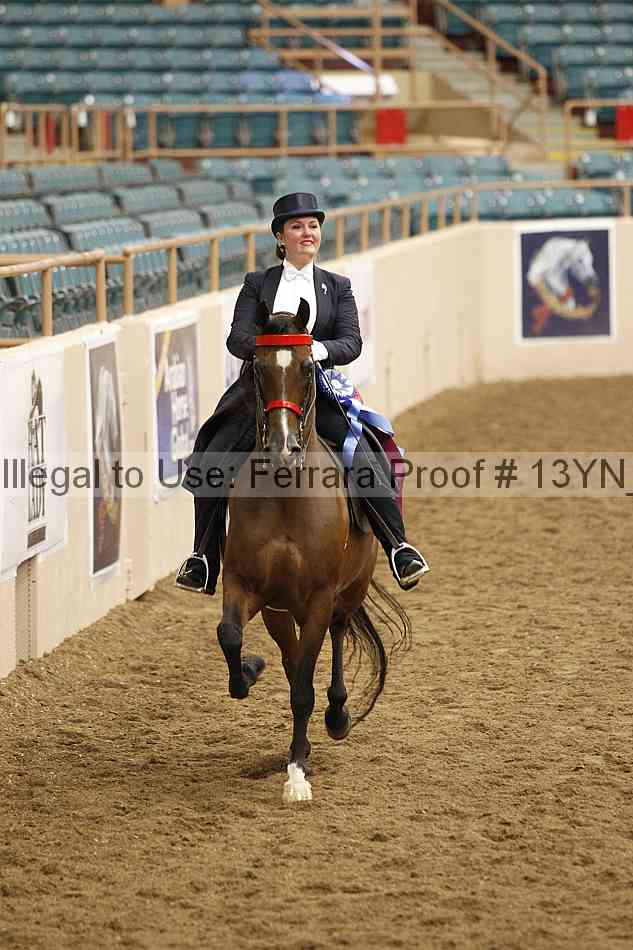 Proof 13yn_09085