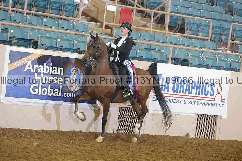 Proof 13yn_09086