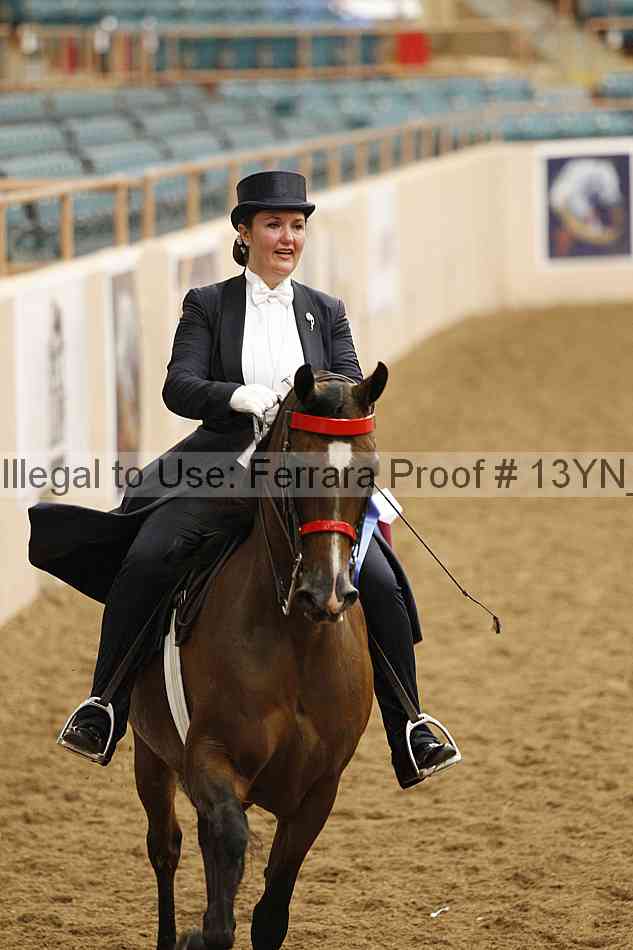 Proof 13yn_09087