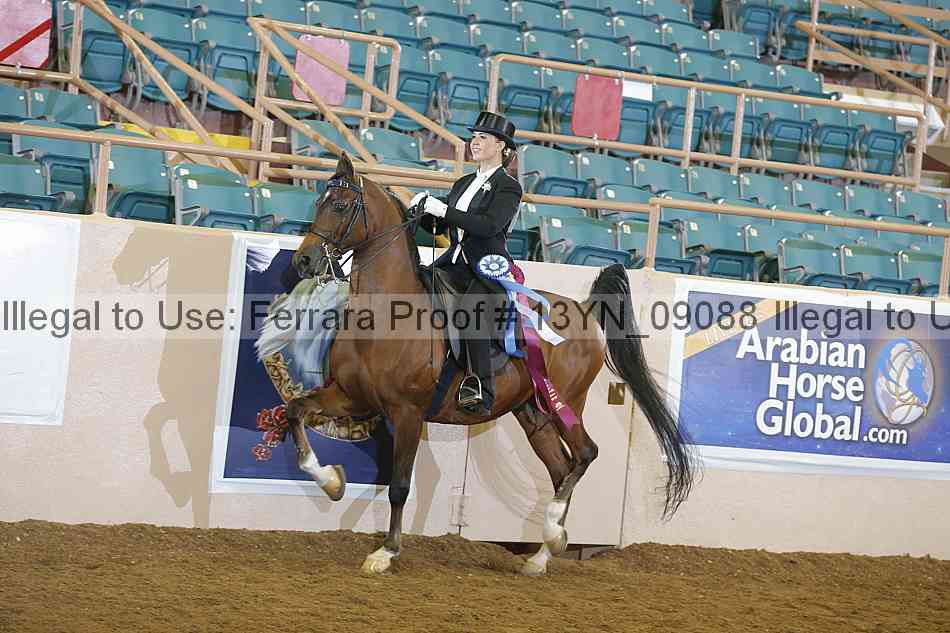 Proof 13yn_09088