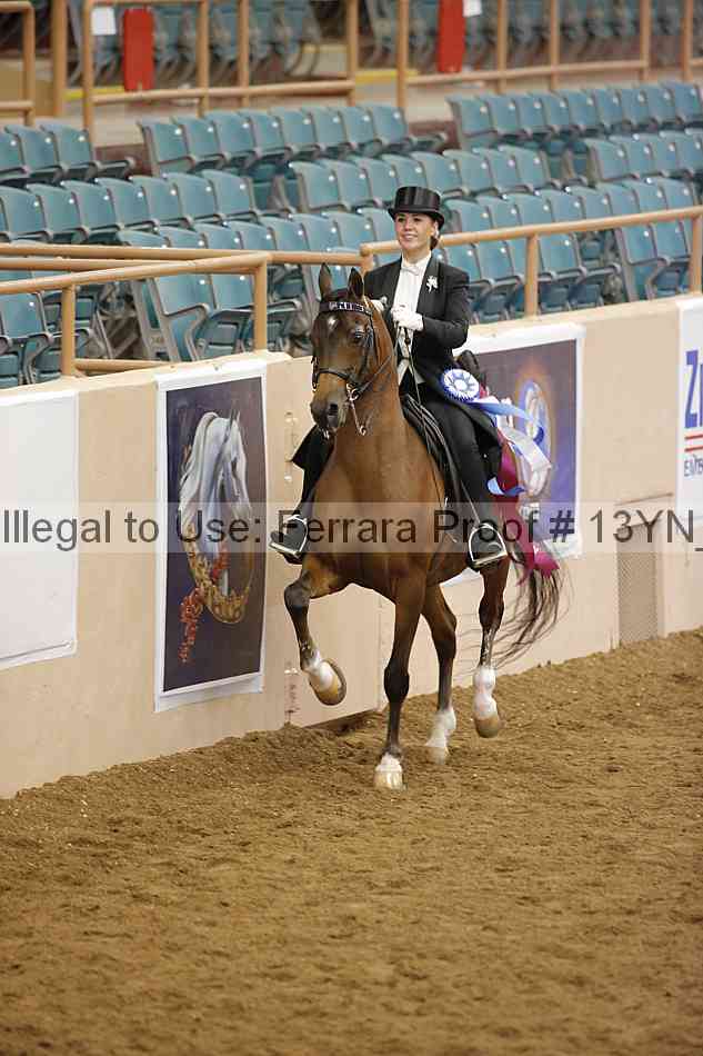 Proof 13yn_09089