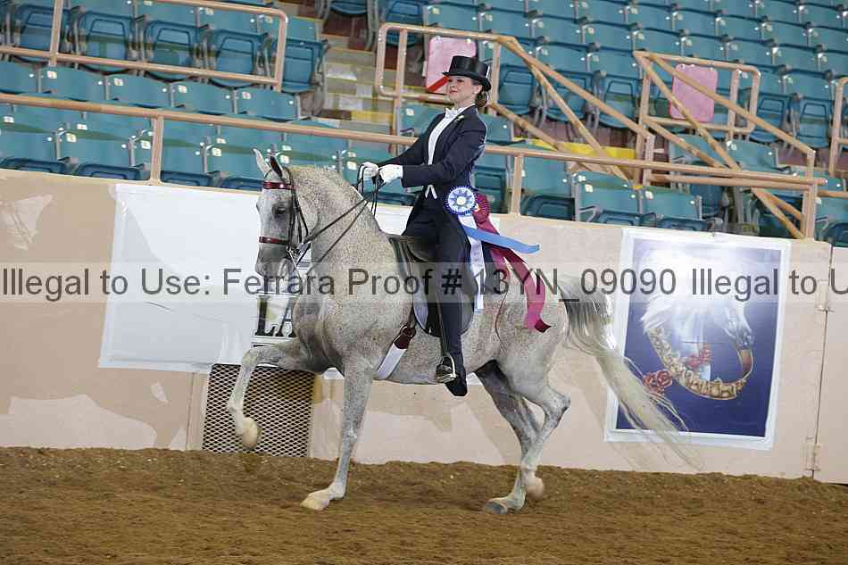 Proof 13yn_09090