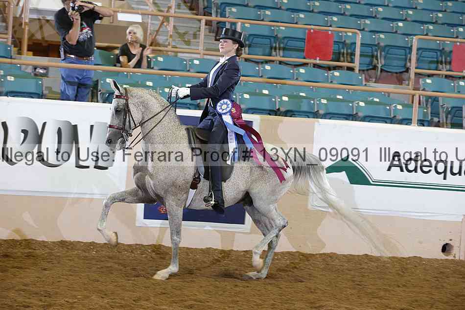 Proof 13yn_09091