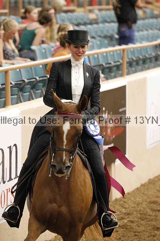 Proof 13yn_09092