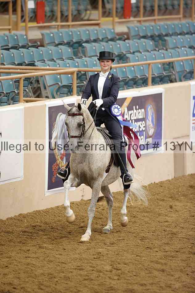 Proof 13yn_09093