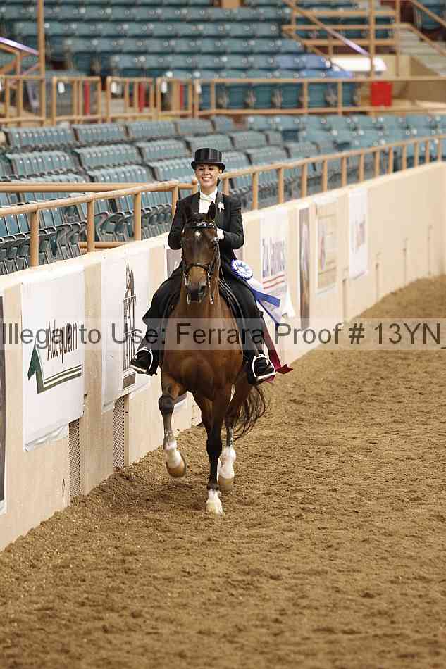 Proof 13yn_09094