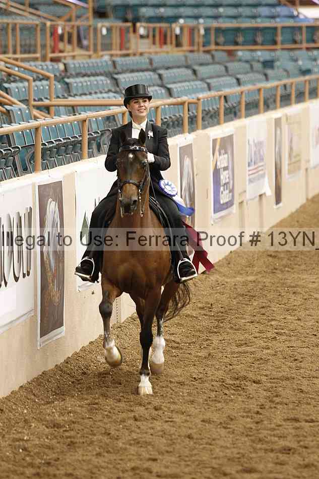 Proof 13yn_09095