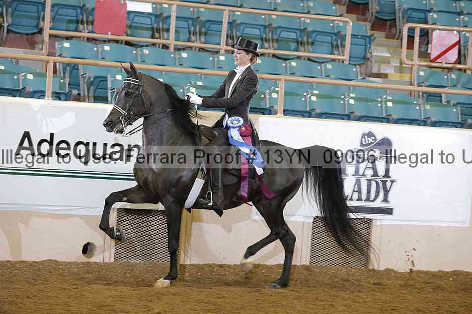 Proof 13yn_09096