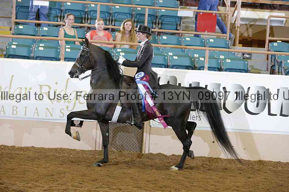 Proof 13yn_09097