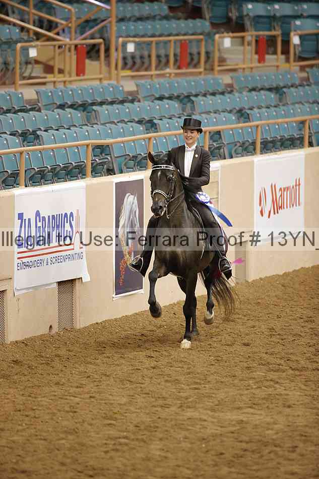 Proof 13yn_09098