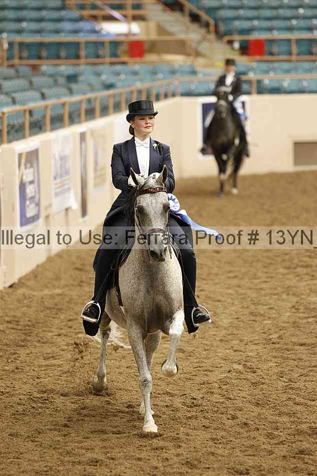 Proof 13yn_09099