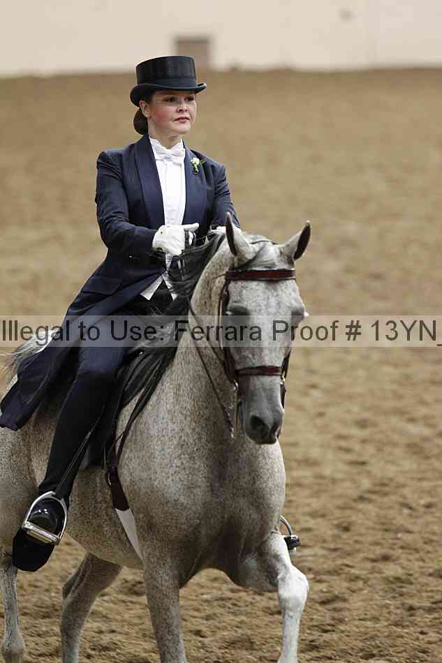 Proof 13yn_09100