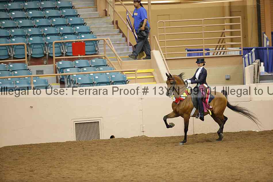 Proof 13yn_09101