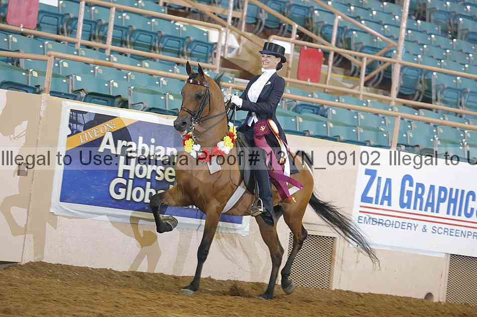 Proof 13yn_09102