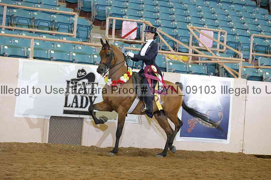 Proof 13yn_09103