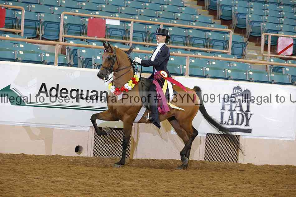 Proof 13yn_09105