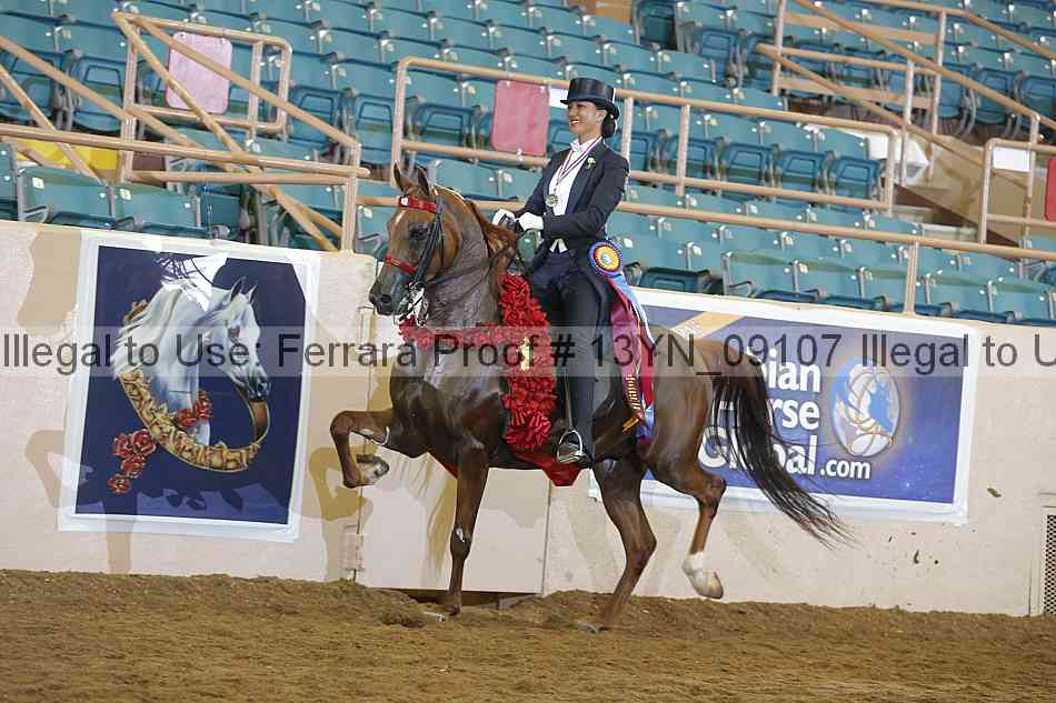 Proof 13yn_09107