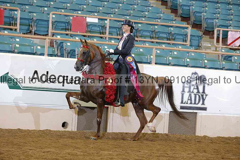 Proof 13yn_09108