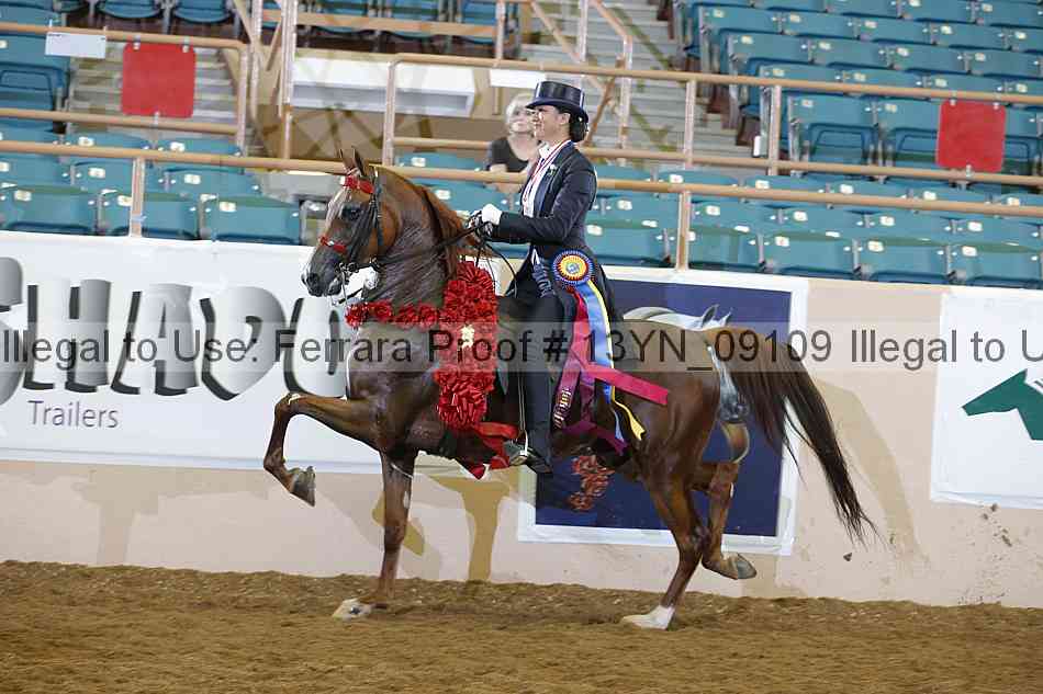 Proof 13yn_09109