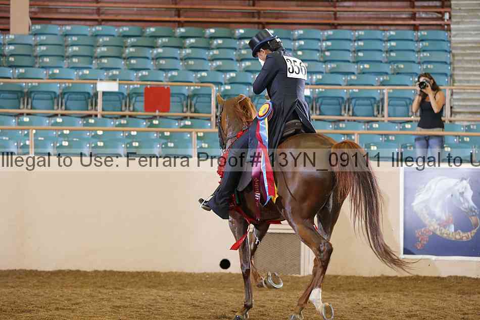 Proof 13yn_09111