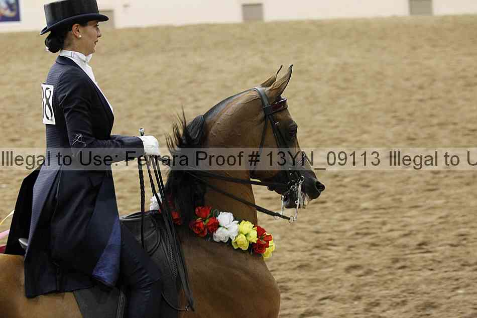 Proof 13yn_09113