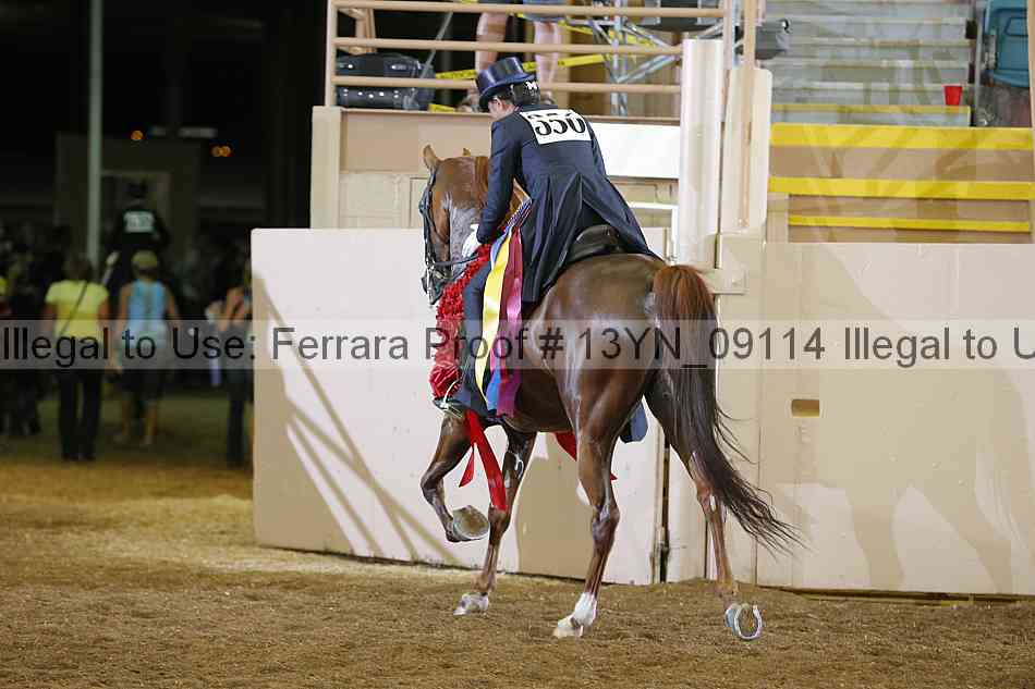 Proof 13yn_09114