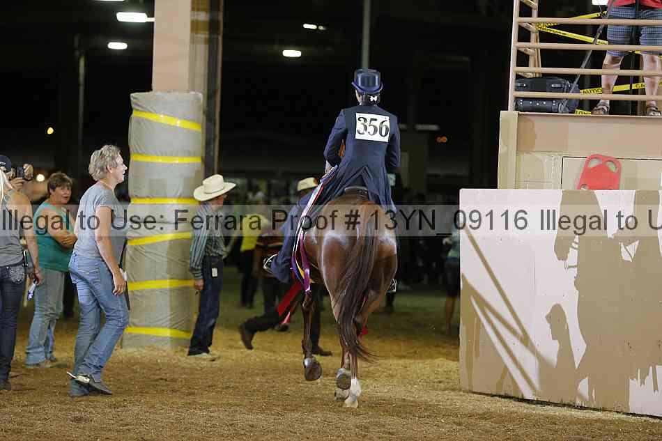Proof 13yn_09116