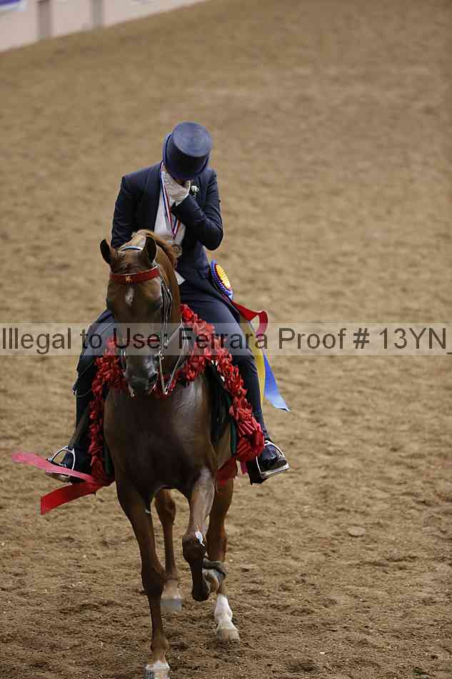 Proof 13yn_09118