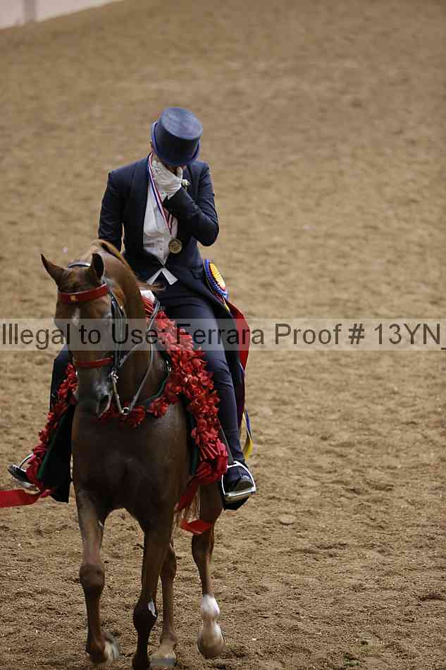 Proof 13yn_09119