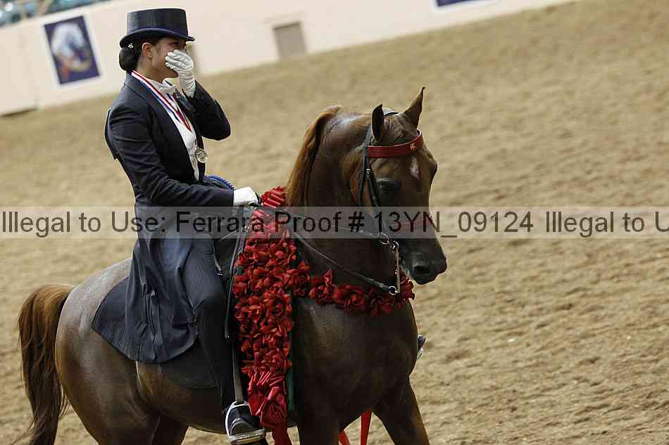 Proof 13yn_09124