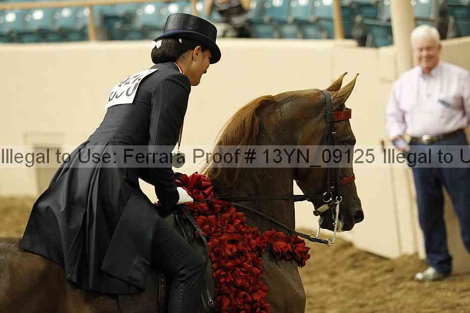 Proof 13yn_09125