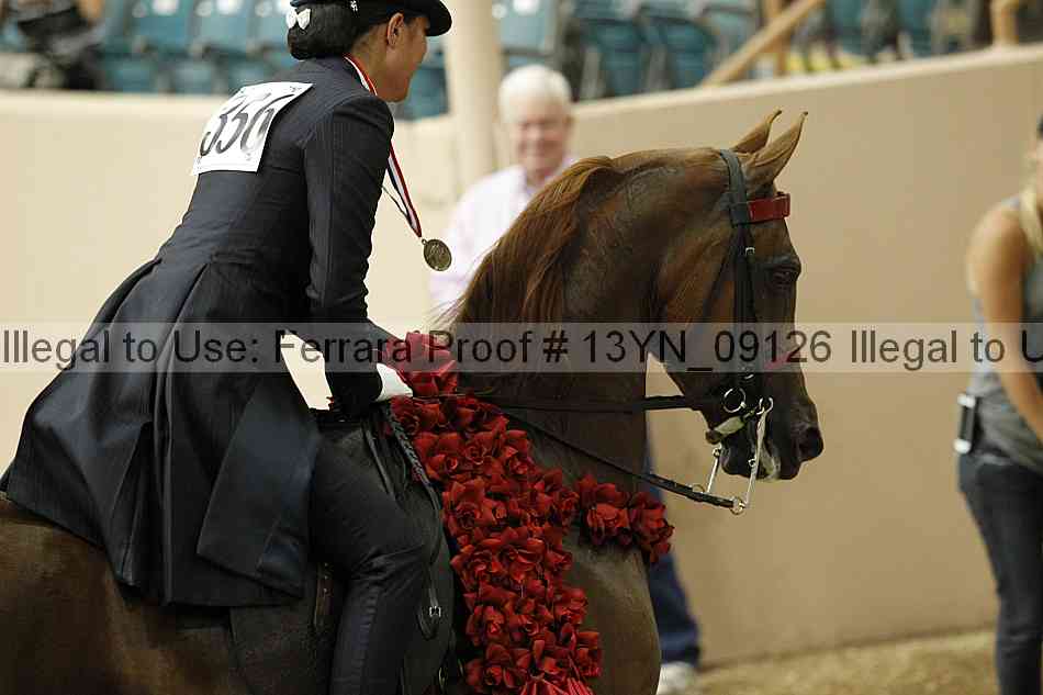 Proof 13yn_09126