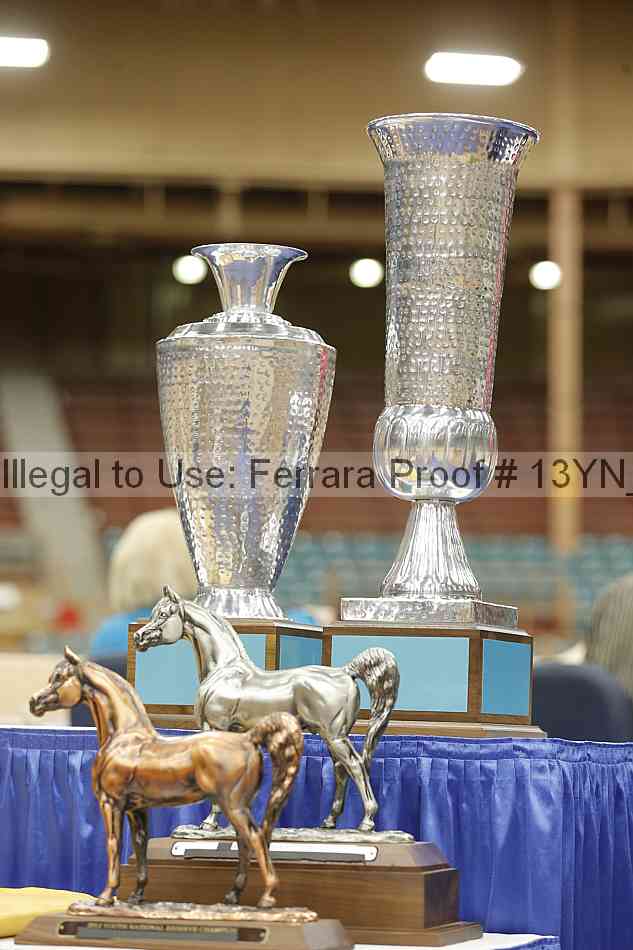 Proof 13yn_09127