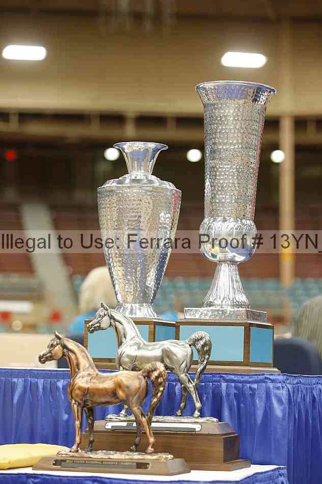Proof 13yn_09128