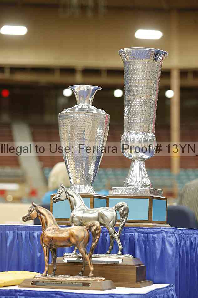 Proof 13yn_09129