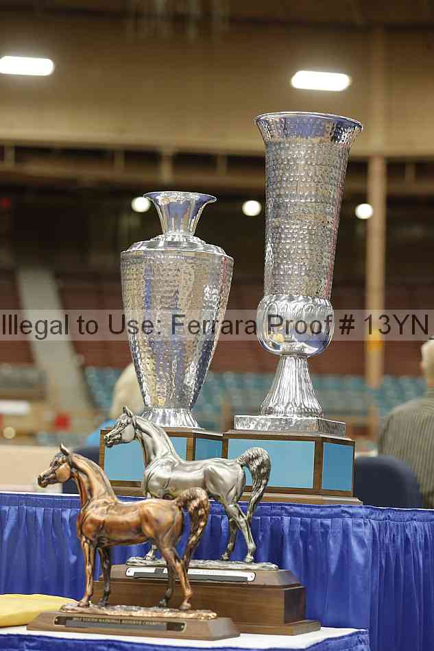 Proof 13yn_09130