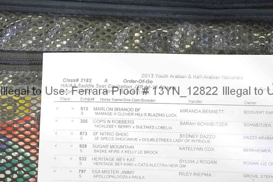 Proof 13yn_12822