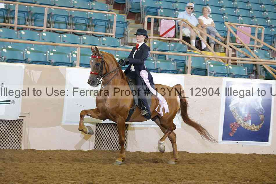 Proof 13yn_12904